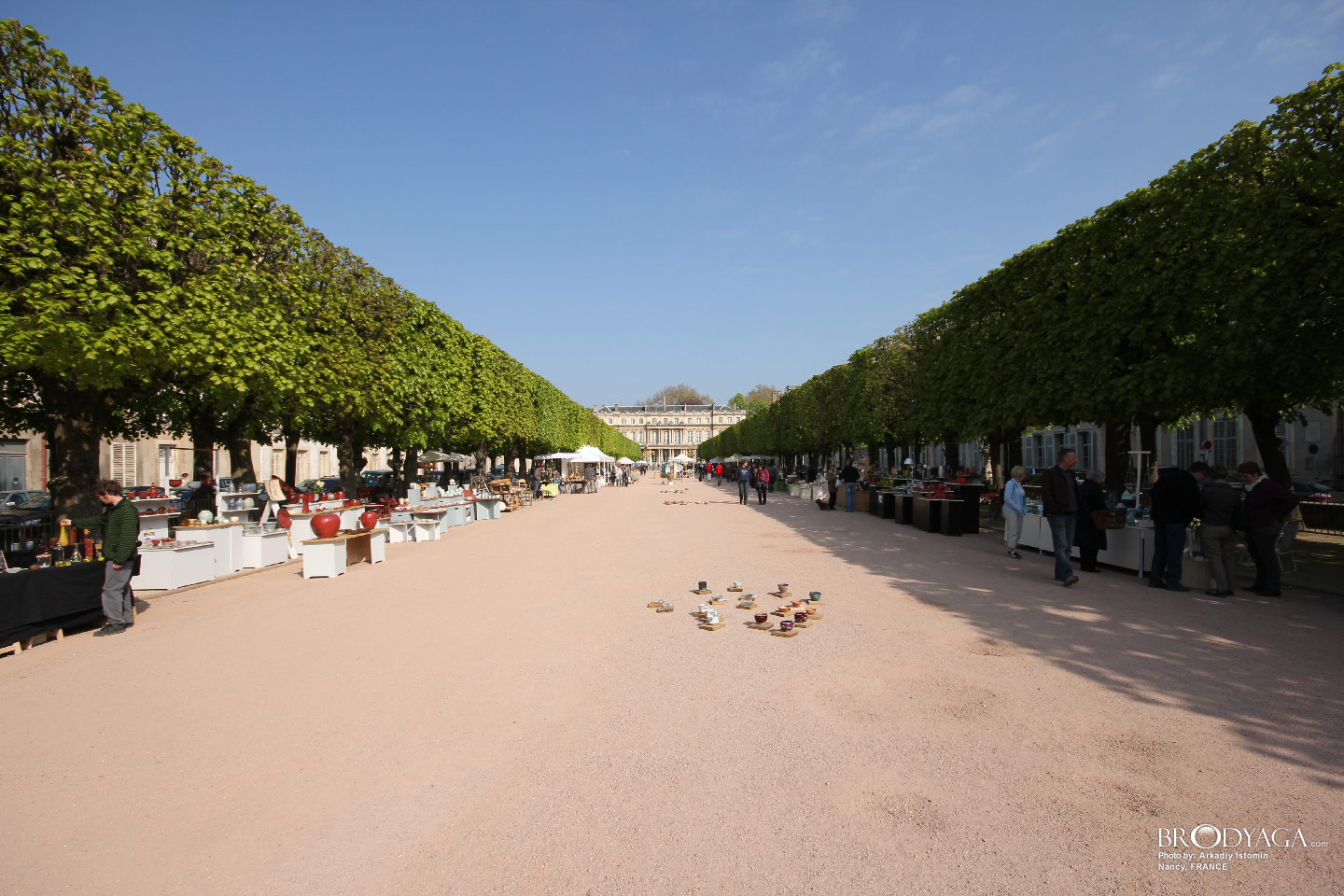 Nancy